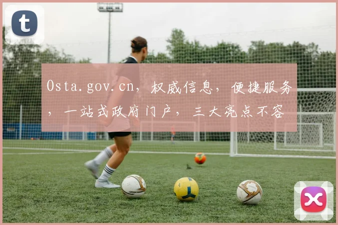 Osta.gov.cn，权威信息，便捷服务，一站式政府门户，三大亮点不容错过