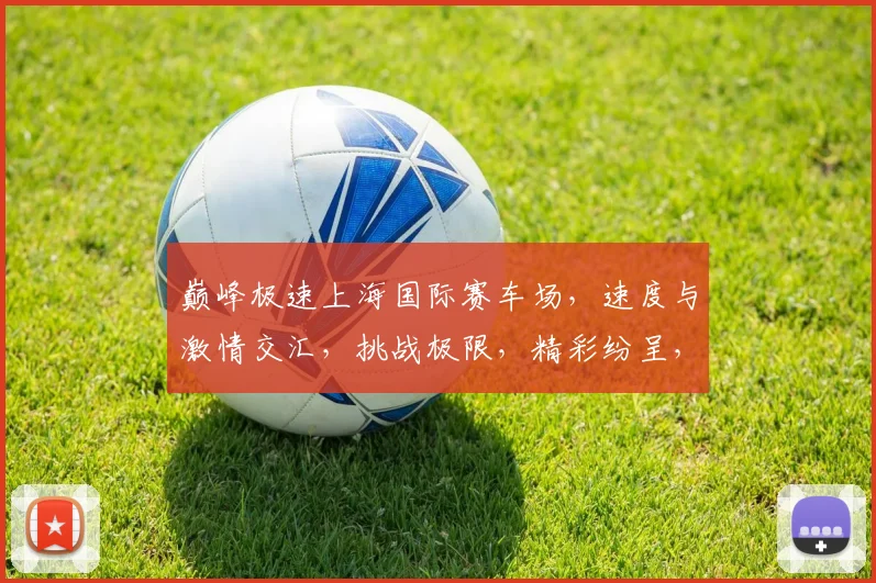 巅峰极速上海国际赛车场，速度与激情交汇，挑战极限，精彩纷呈，不容错过