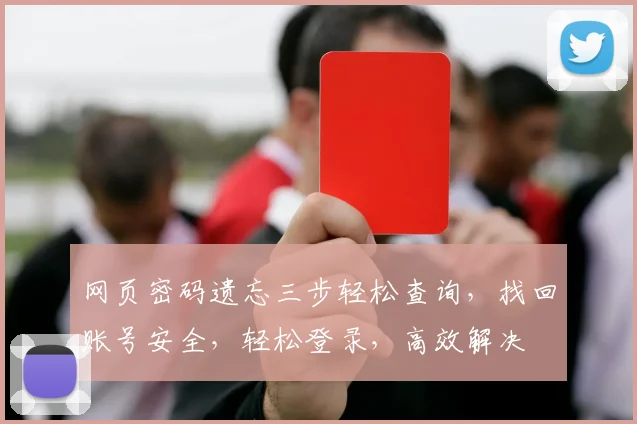 网页密码遗忘三步轻松查询，找回账号安全，轻松登录，高效解决