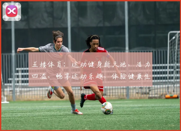 五楼体育：运动健身新天地，活力四溢，畅享运动乐趣，体验健康生活，一网打尽