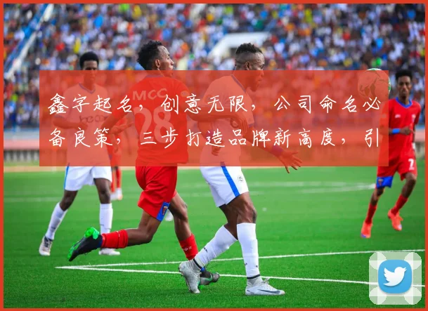 鑫字起名，创意无限，公司命名必备良策，三步打造品牌新高度，引领行业潮流。